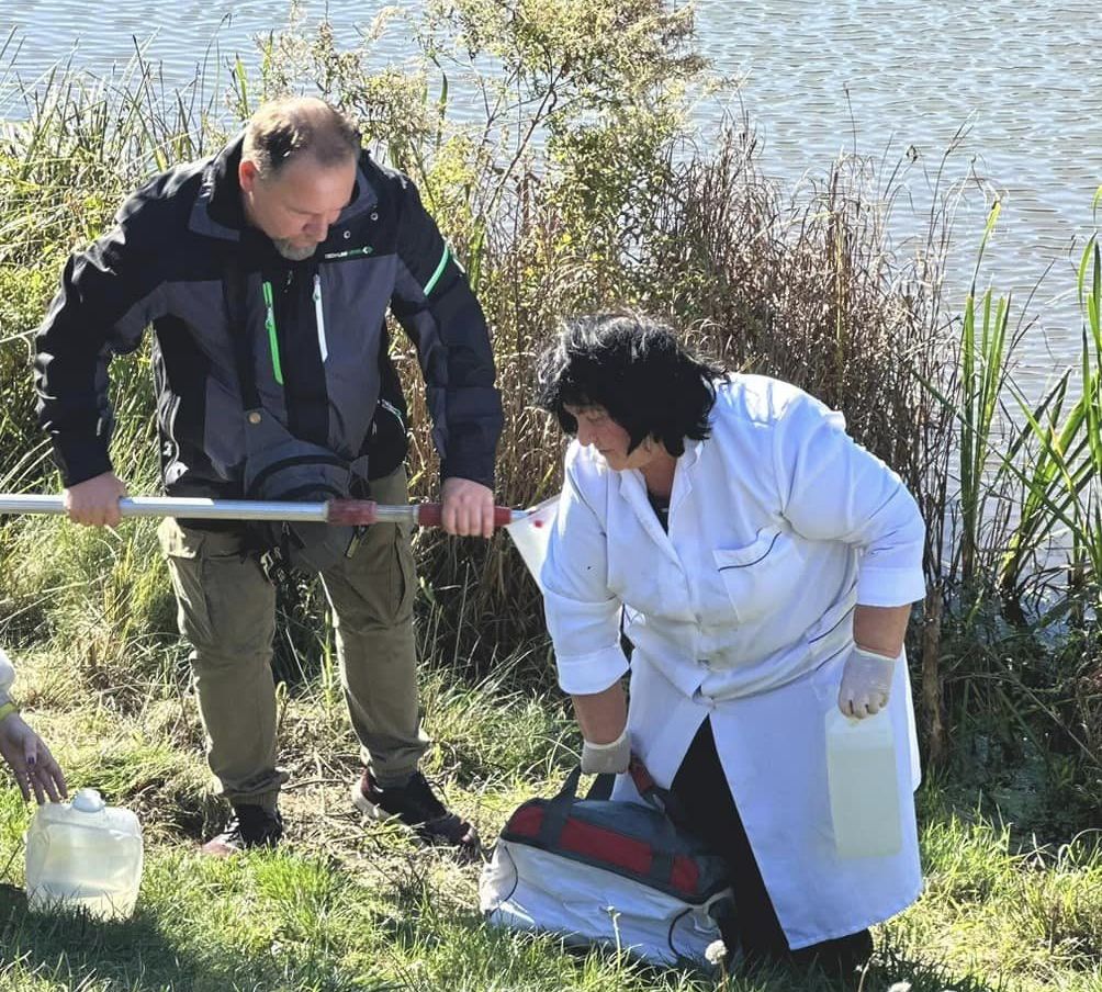забруднення Совських ставків