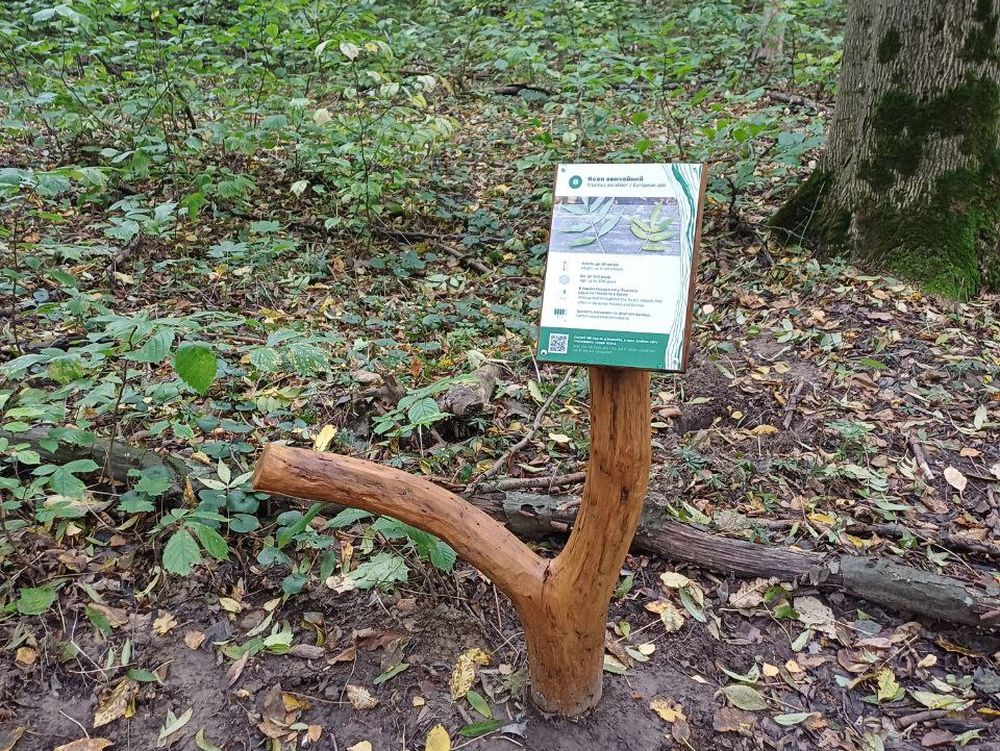 Голосіївський парк