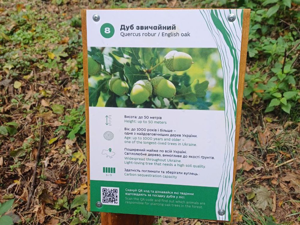 Голосіївський парк