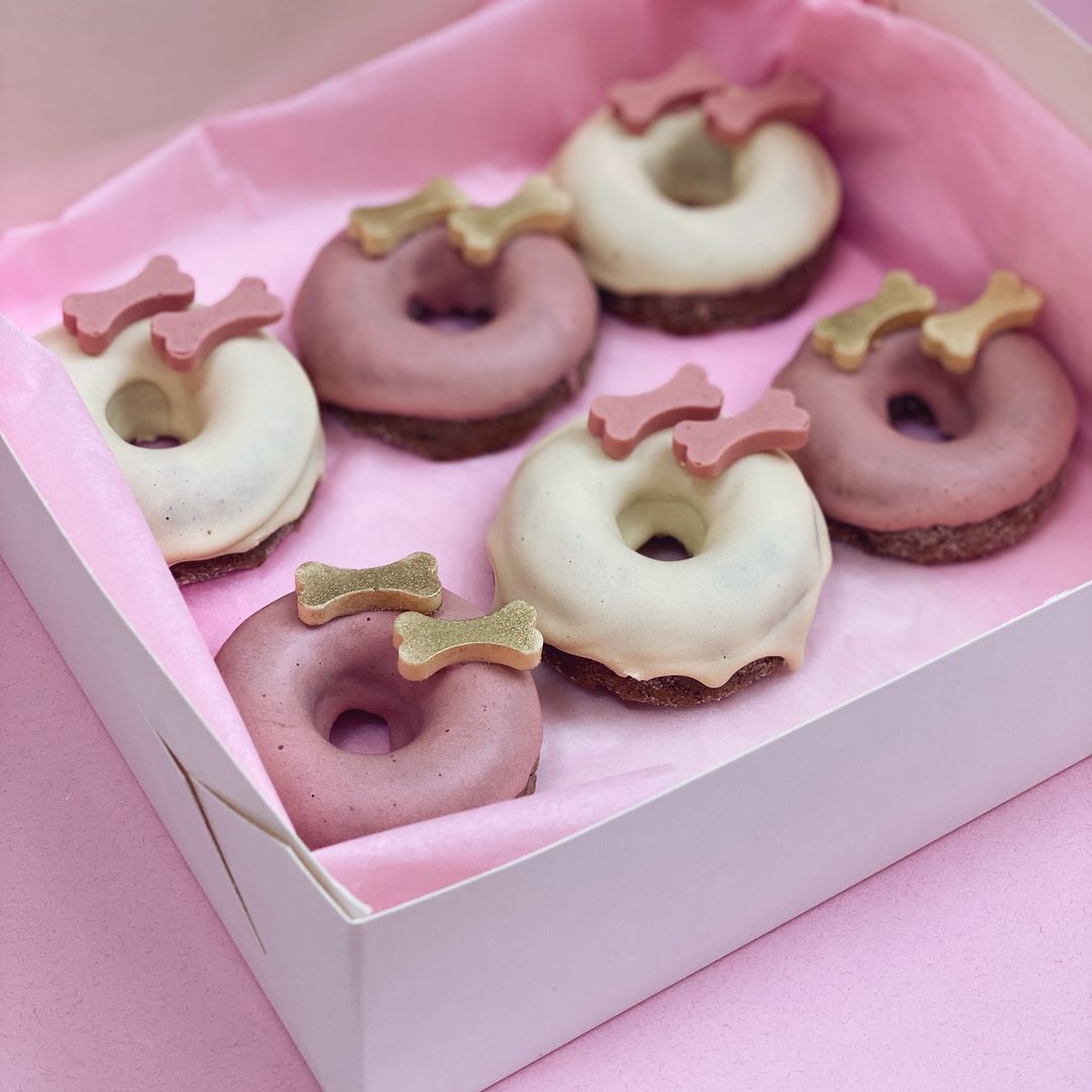 У Києві відкрили кондитерську для собак