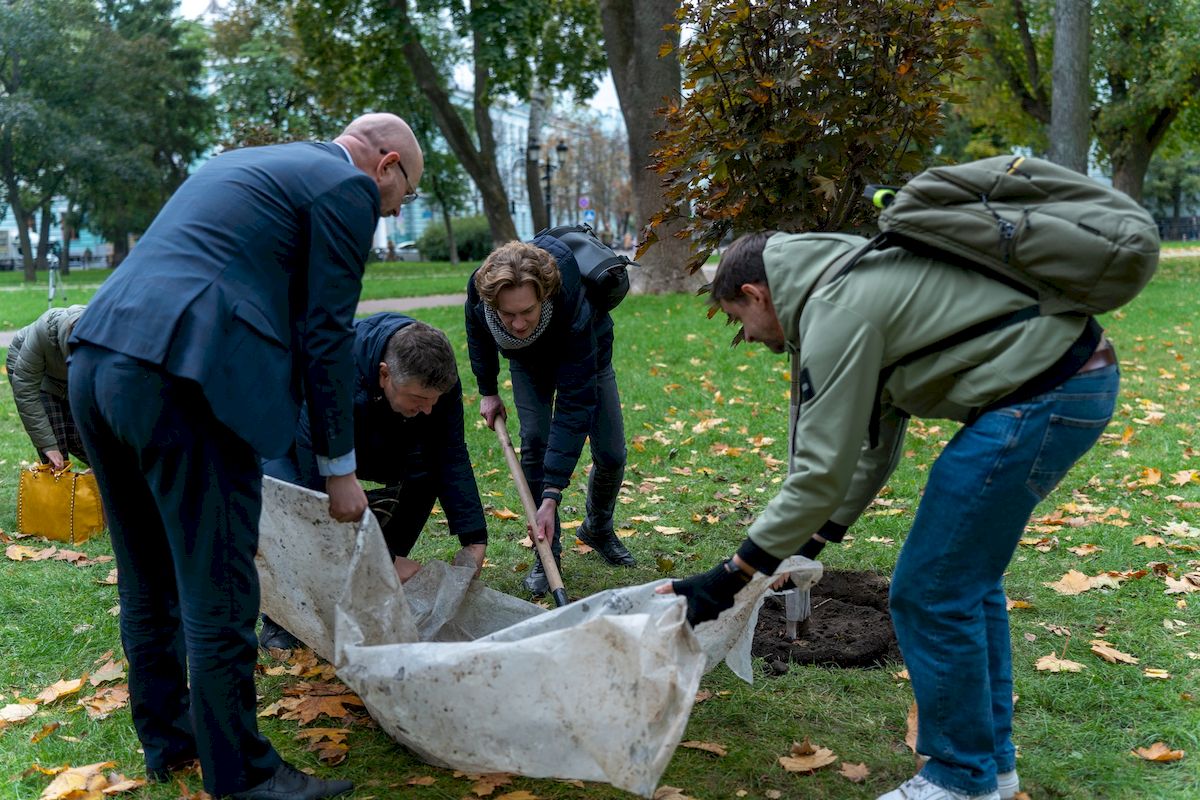 У Маріїнському парку висадили клени з опери Король Артур