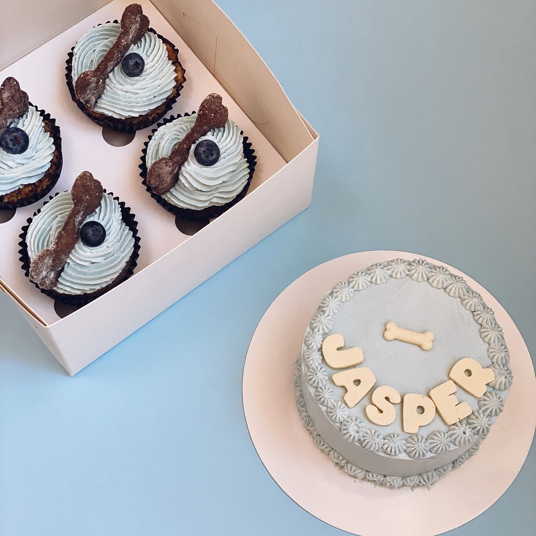 У Києві відкрили кондитерську для собак