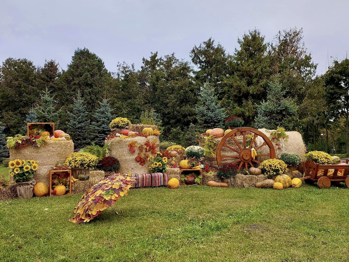 У парках та скверах Києва створили осінні фотозони з гарбузами та квітами