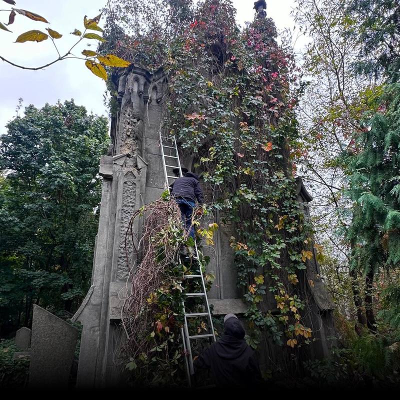 Унікальну каплицю Вітте на Байковому кладовищі очистили від дерев та рослин