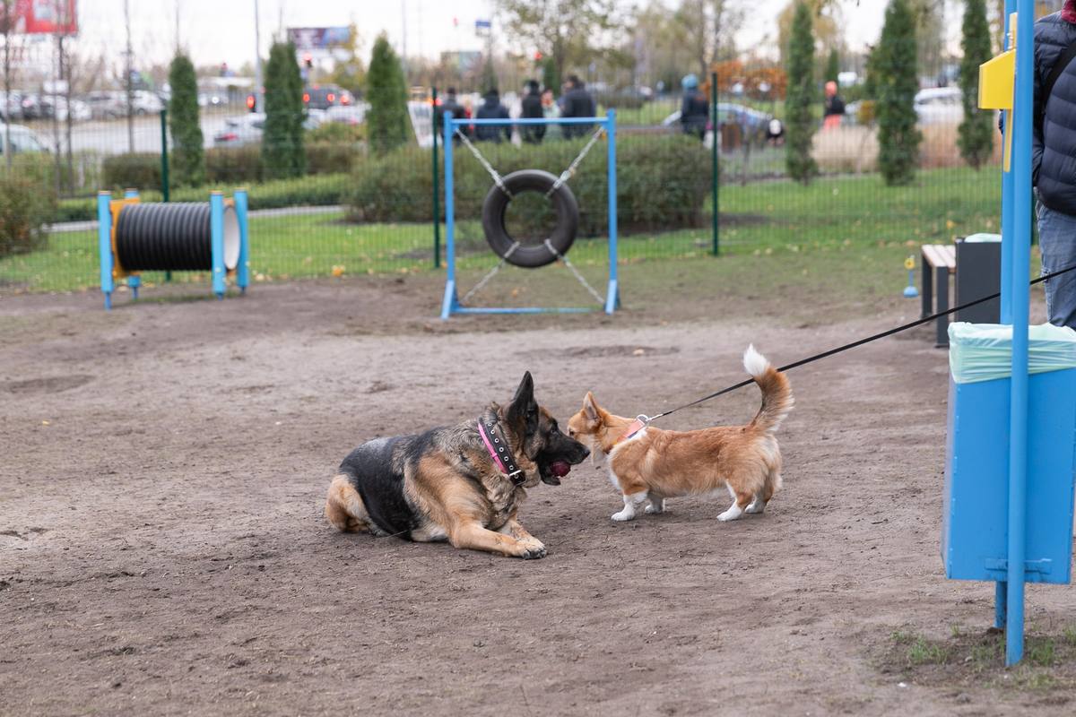 У Києві облаштували 10 мініскверів: по одному на кожен район