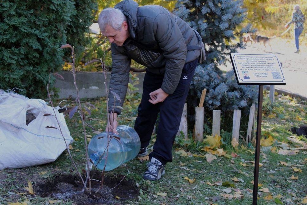 дерева в пам'ять про бійця Азова