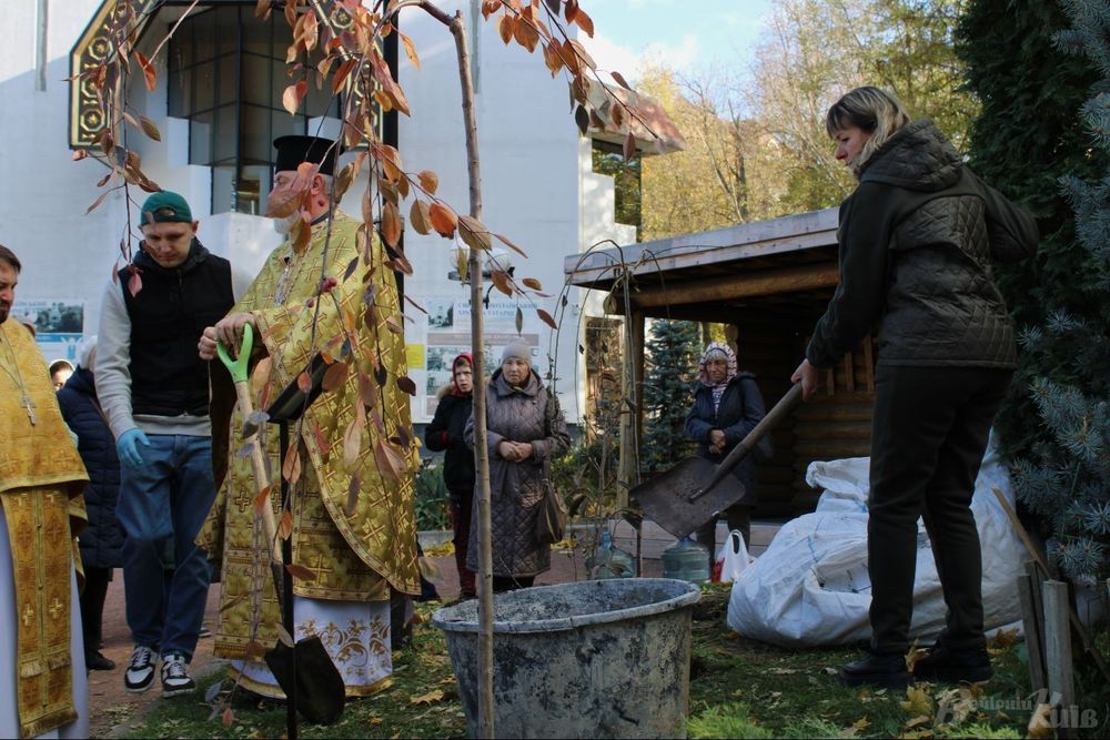 дерева в пам'ять про бійця Азова