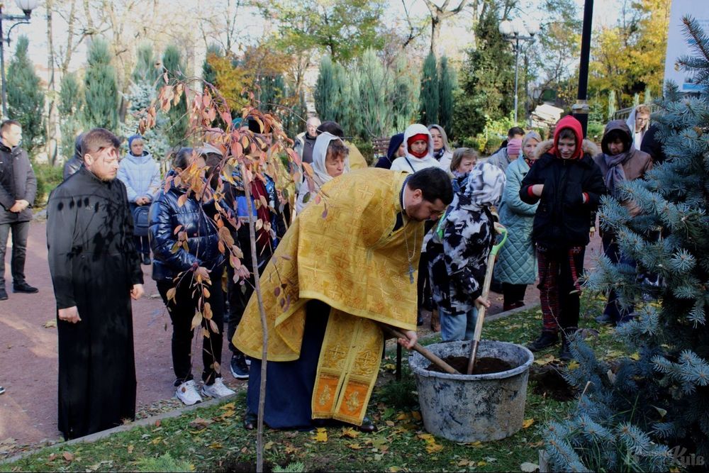 дерева в пам'ять про бійця Азова