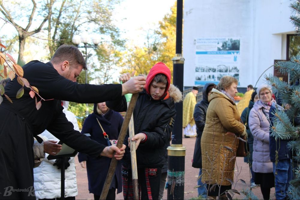 дерева в пам'ять про бійця Азова