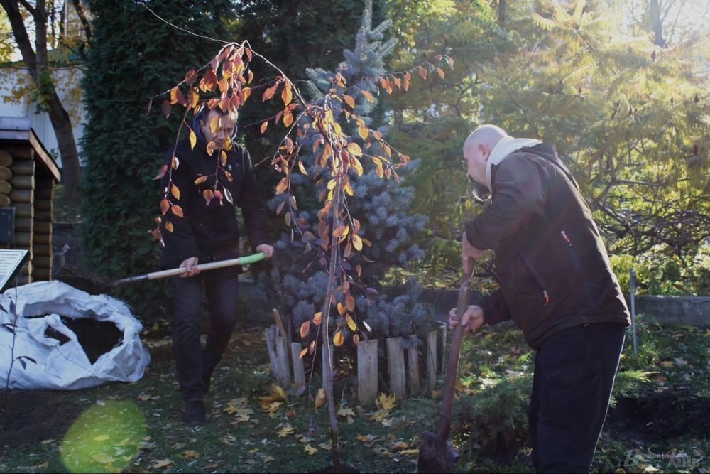 дерева в пам'ять про бійця Азова
