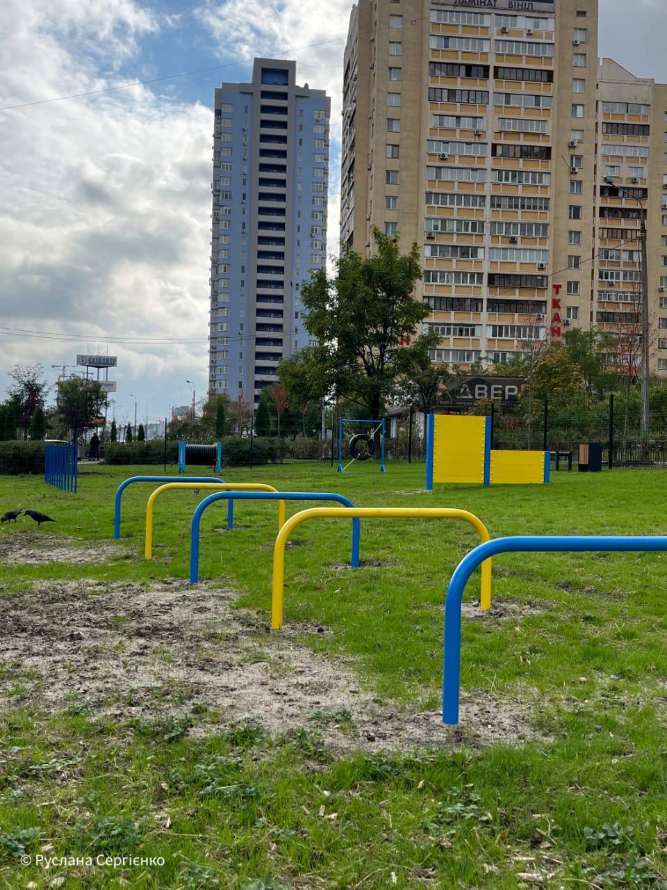 майданчик для вигулу собак