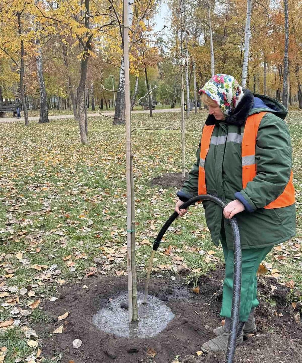 магнолії в парку Перемога