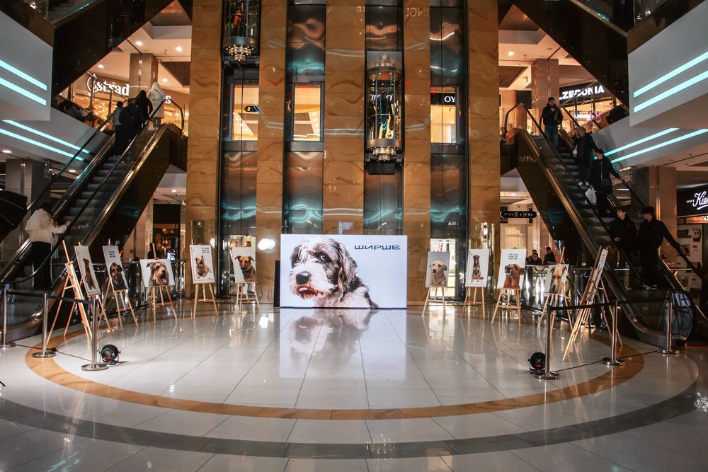 фотовиставка Ширше