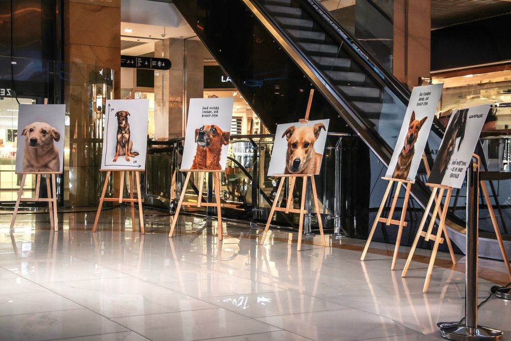 фотовиставка Ширше