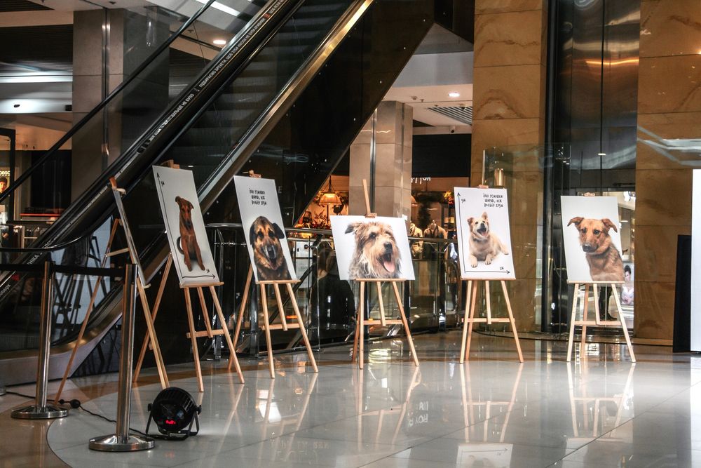 фотовиставка Ширше