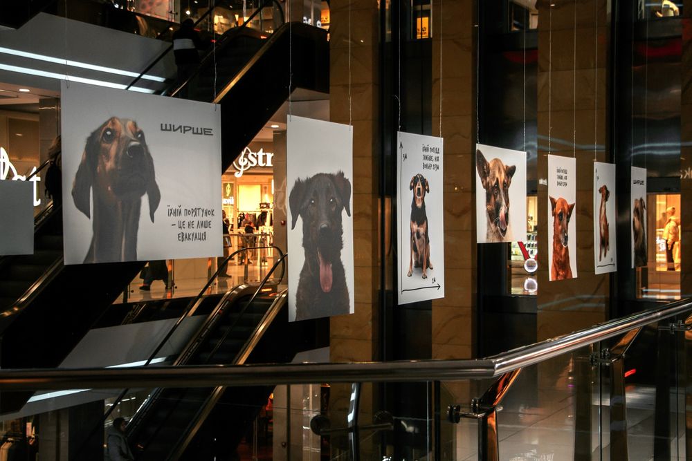 фотовиставка Ширше