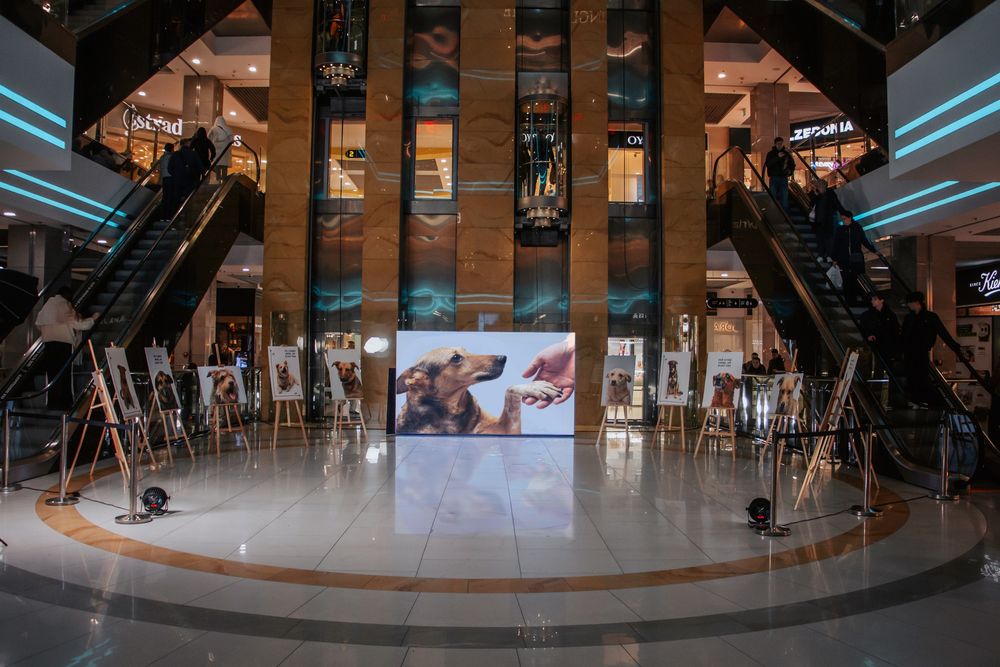 фотовиставка Ширше