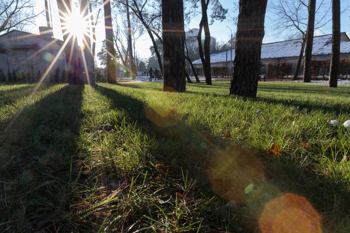 У Києві на лівому березі створили сквер із зеленими трамвайними коліями