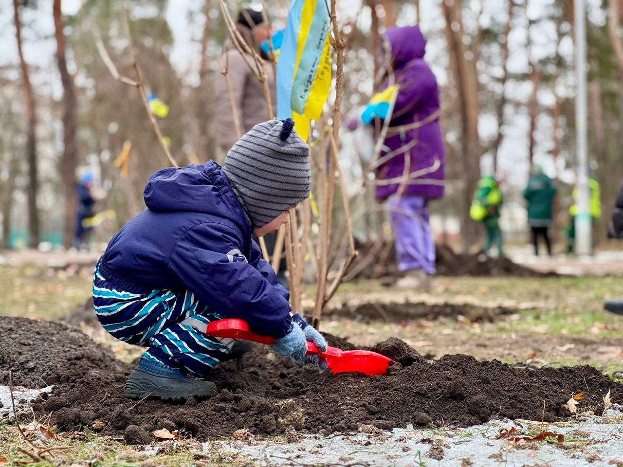 калиновий гай у Парку партизанської слави