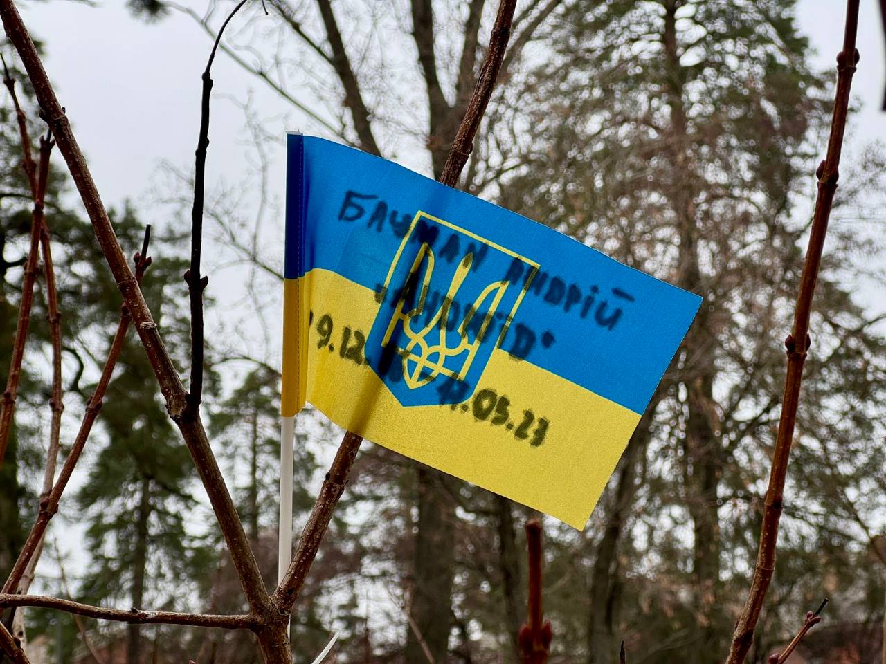 калиновий гай у Парку партизанської слави