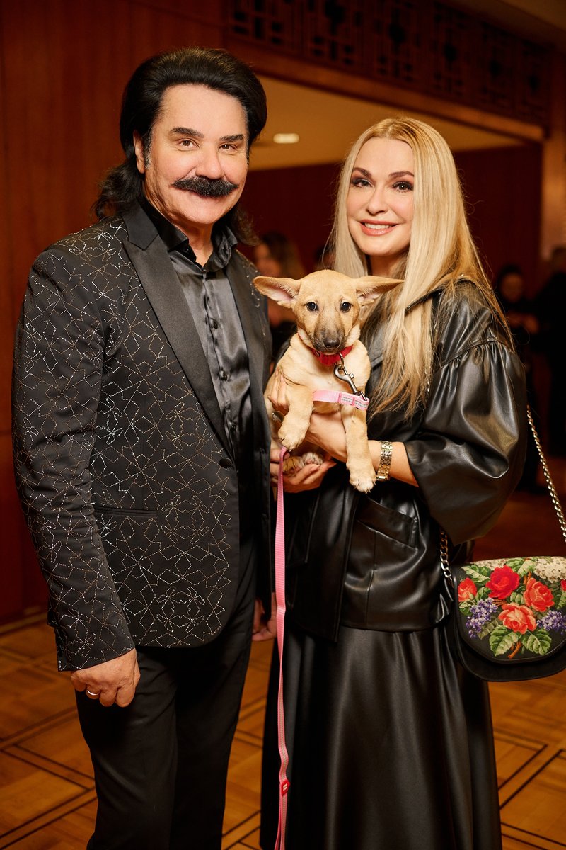 Собаки з притулку вийшли на червону доріжку премії MUZVAR AWARDS 2024