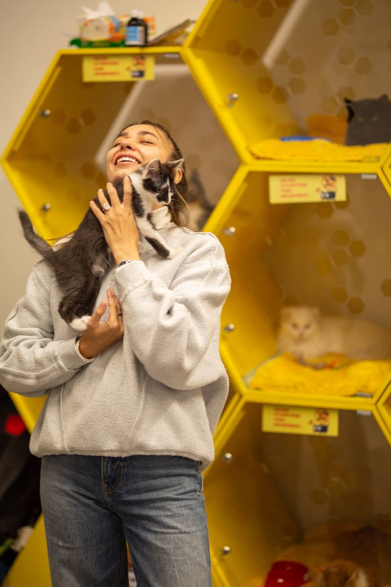 Найбільші маркети подарунків Києва Всі. Свої