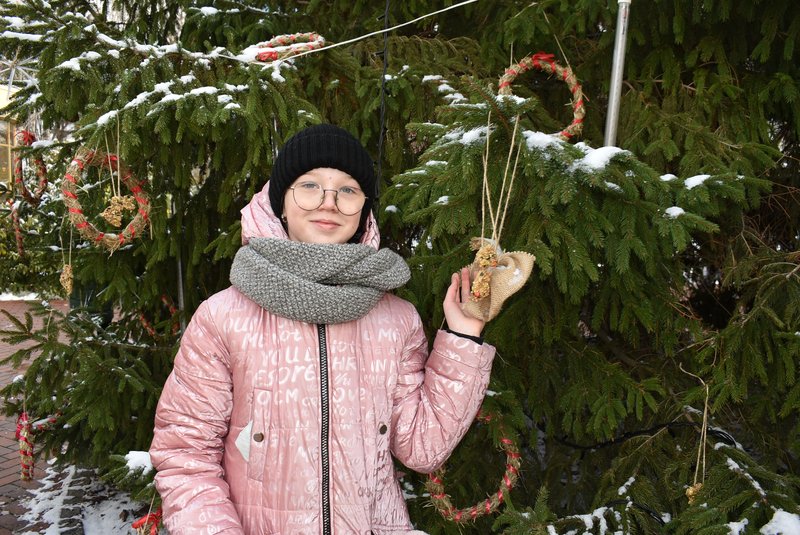 У Межигір'ї відкрили екоялинку, прикрашену саморобними прикрасами та їстівними іграшками