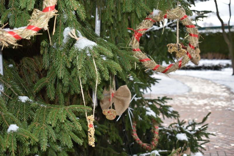 У Межигір'ї відкрили екоялинку, прикрашену саморобними прикрасами та їстівними іграшками