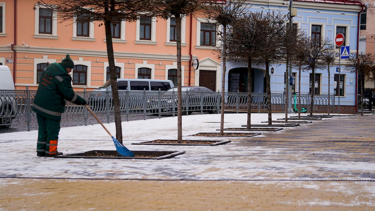 У Києві використовують європейські методи для захисту дерев та кущів узимку