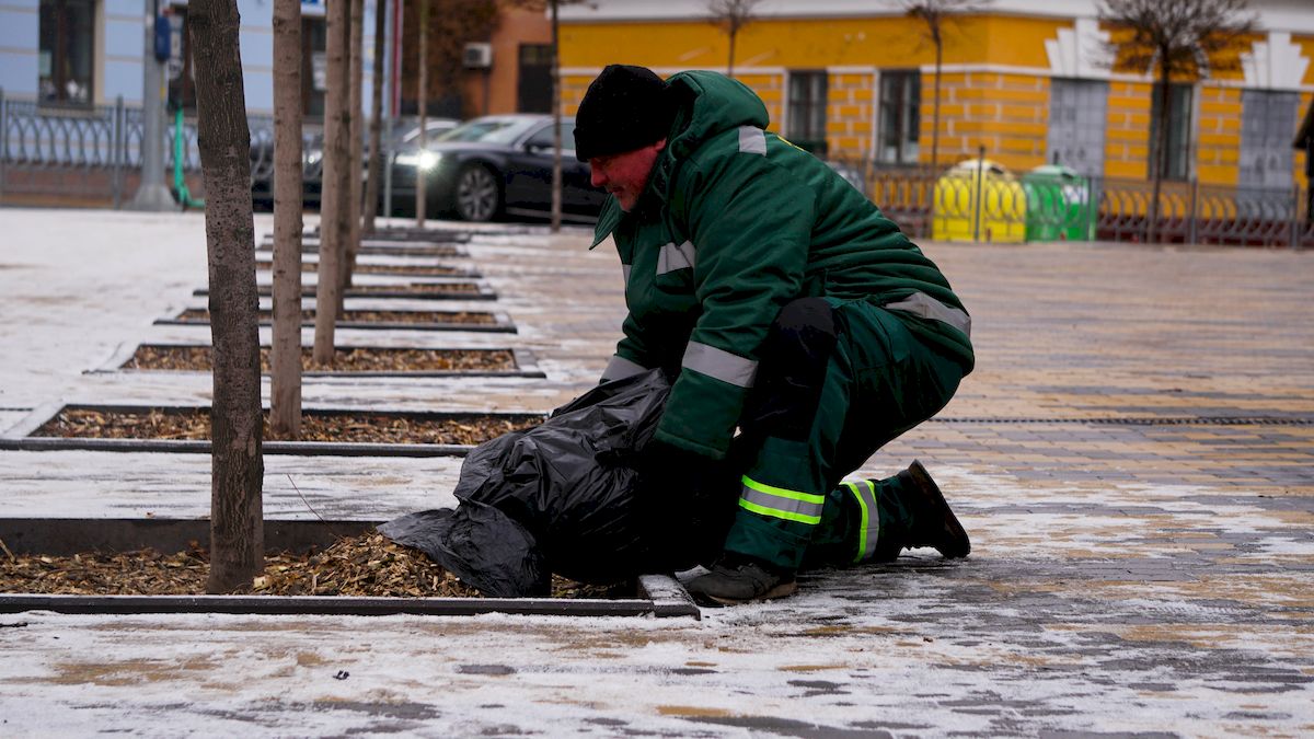 У Києві використовують європейські методи для захисту дерев та кущів узимку