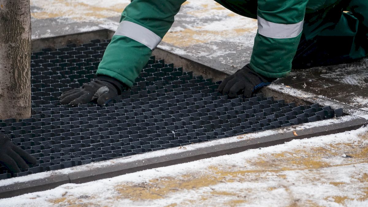 У Києві використовують європейські методи для захисту дерев та кущів узимку