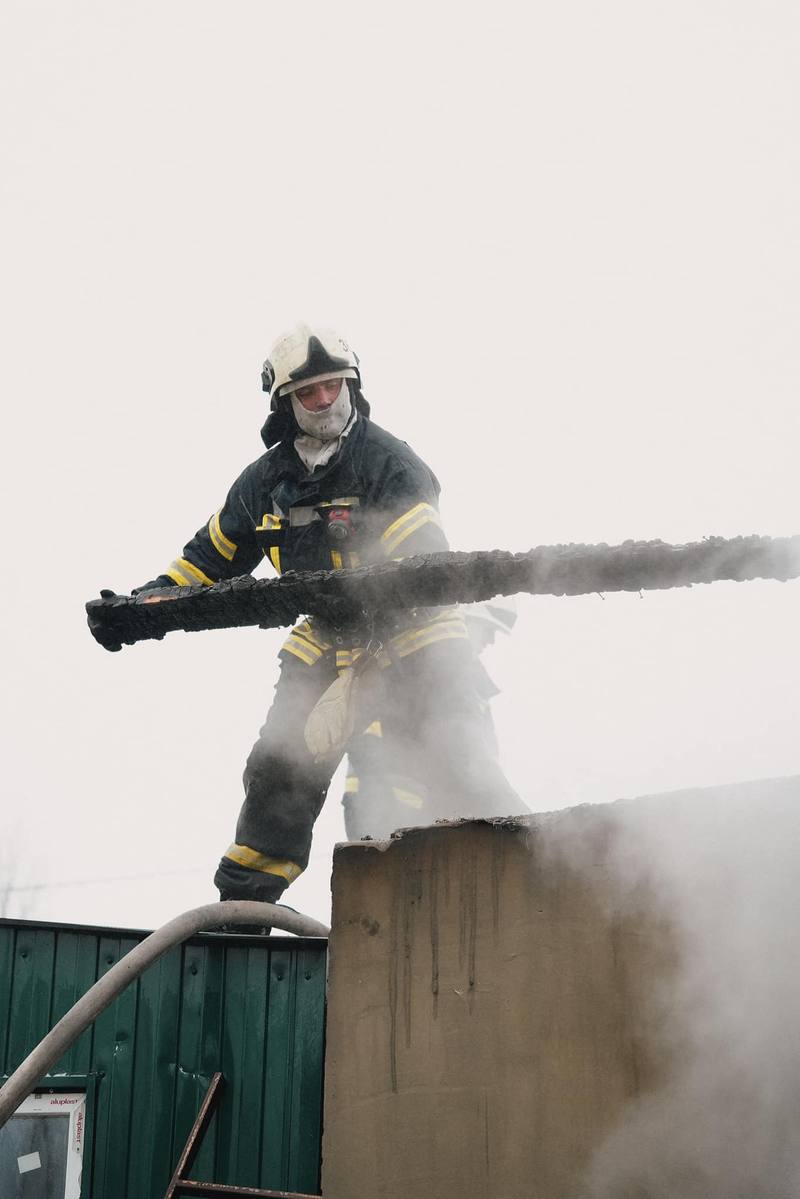 У притулку для тварин під Києвом сталася пожежа: які наслідки та як допомогти