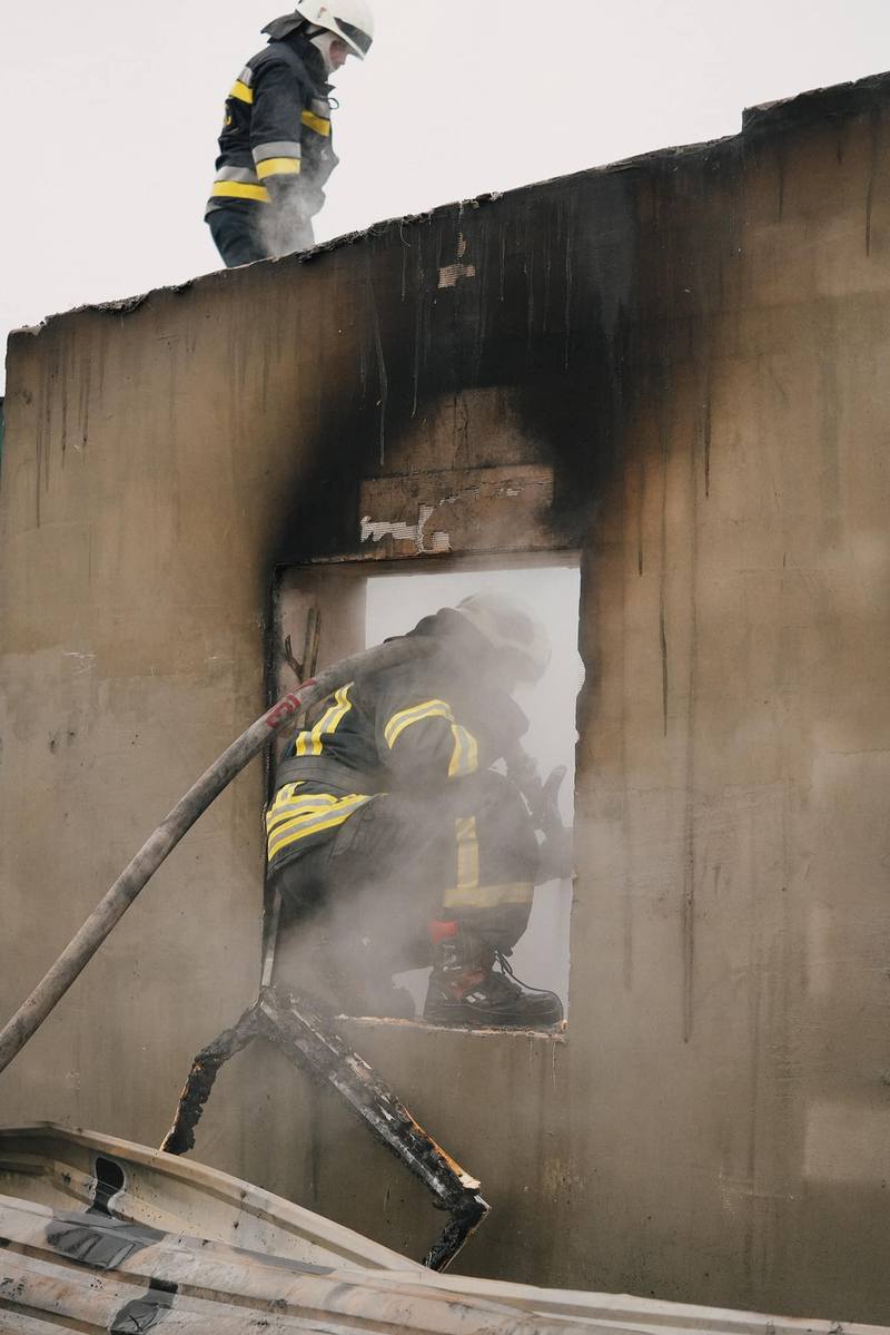 У притулку для тварин під Києвом сталася пожежа: які наслідки та як допомогти