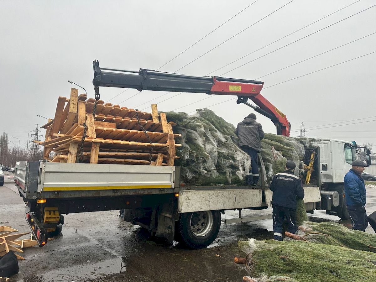 У Києві демонтували майже 30 незаконних ялинкових ярмарків: фото