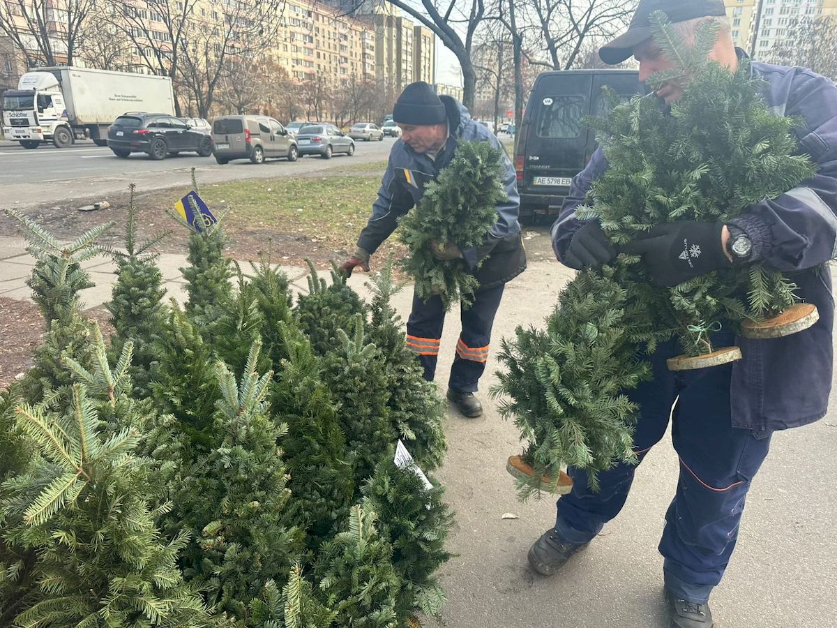 У Києві демонтували майже 30 незаконних ялинкових ярмарків: фото