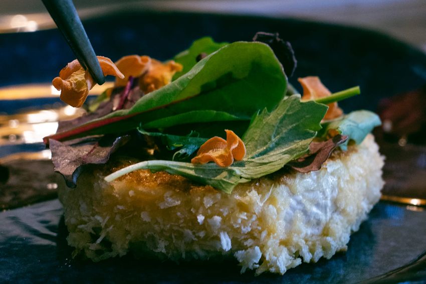 чайна Ровесник