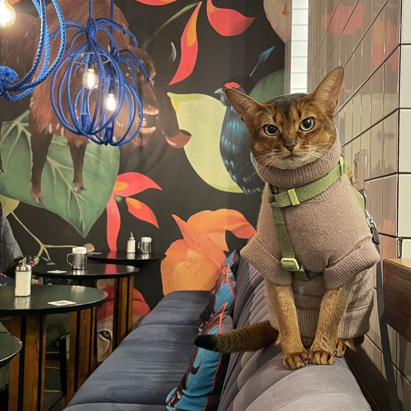 The Blue Cup Coffee Shop