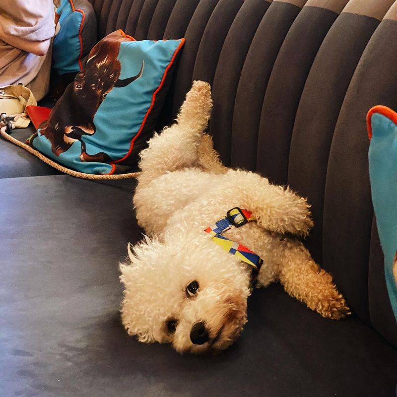 The Blue Cup Coffee Shop