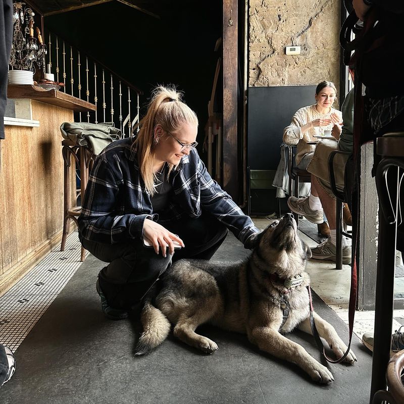 Mimosa Brooklyn Pizza