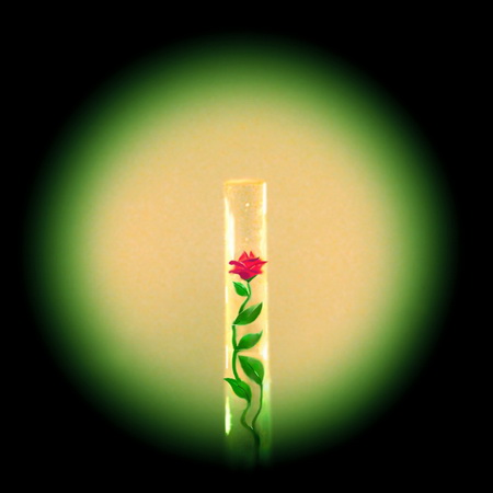 Музей мініатюр Миколи Сядристого