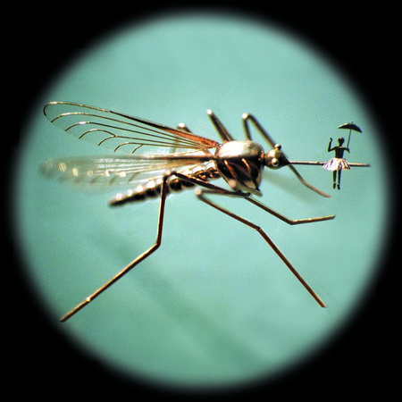 Музей мініатюр Миколи Сядристого