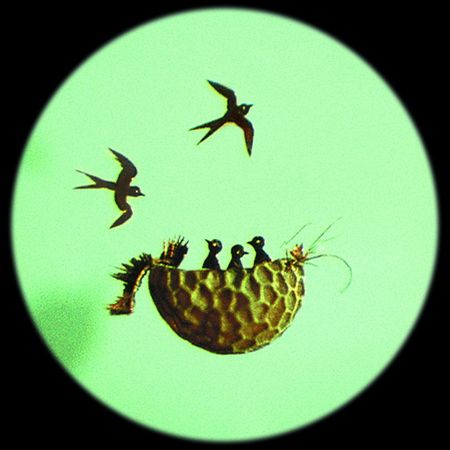 Музей мініатюр Миколи Сядристого