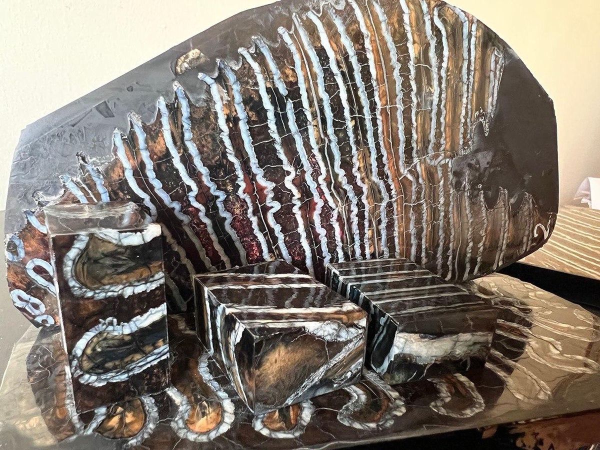 пастини із зубів мамонтів