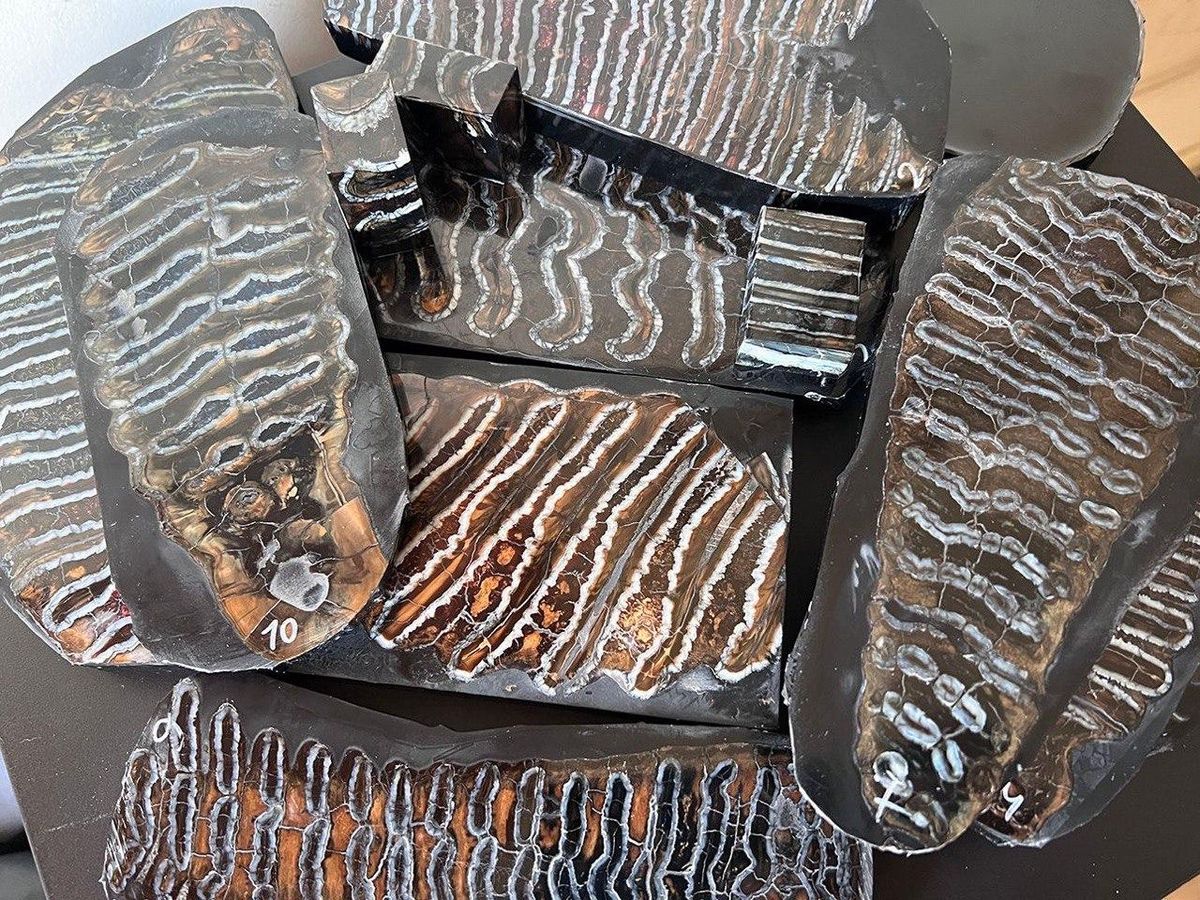 пастини із зубів мамонтів