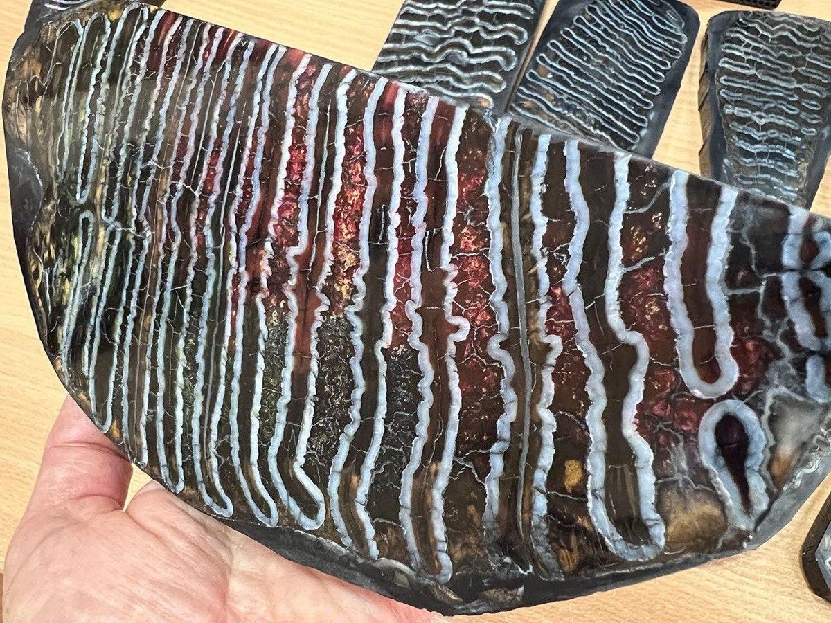 пастини із зубів мамонтів