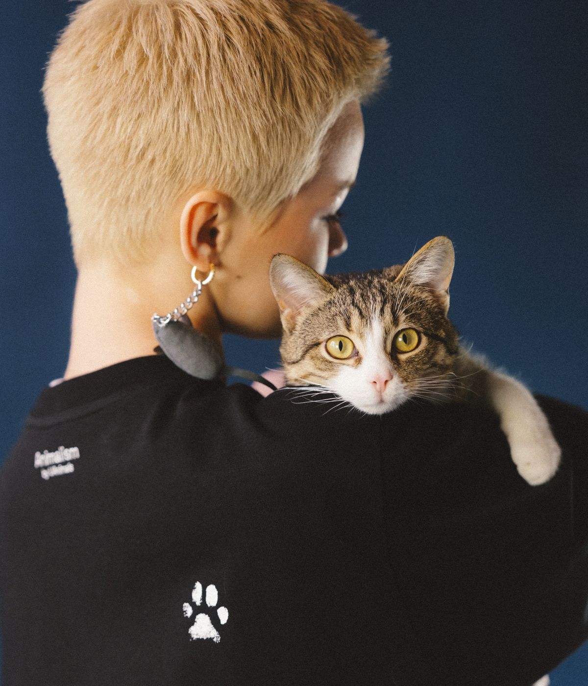 дроп МУРРРРР