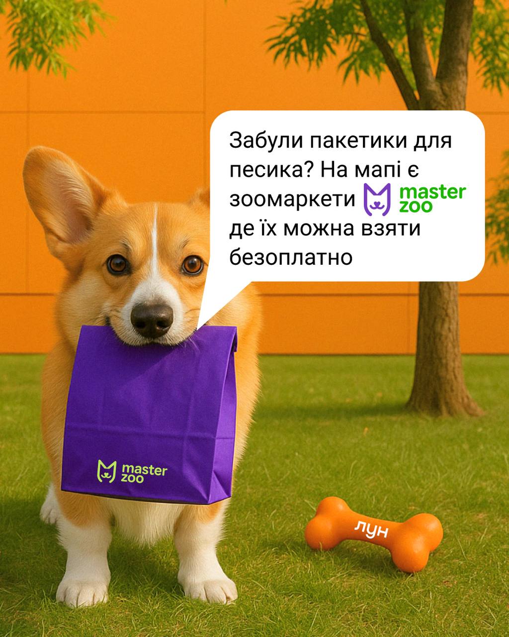 вигул собак у Києві