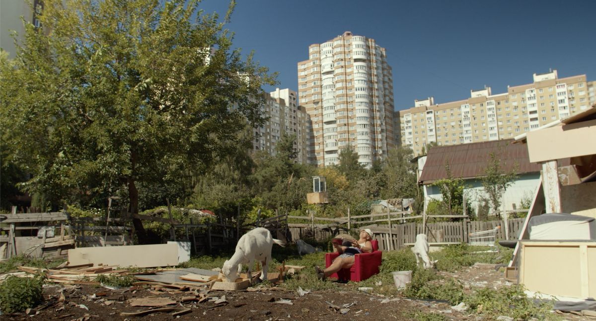 Квіти України