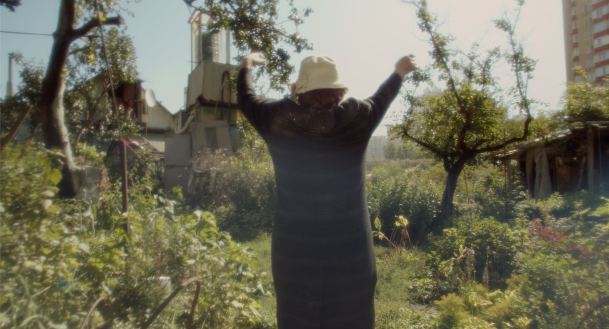 Квіти України