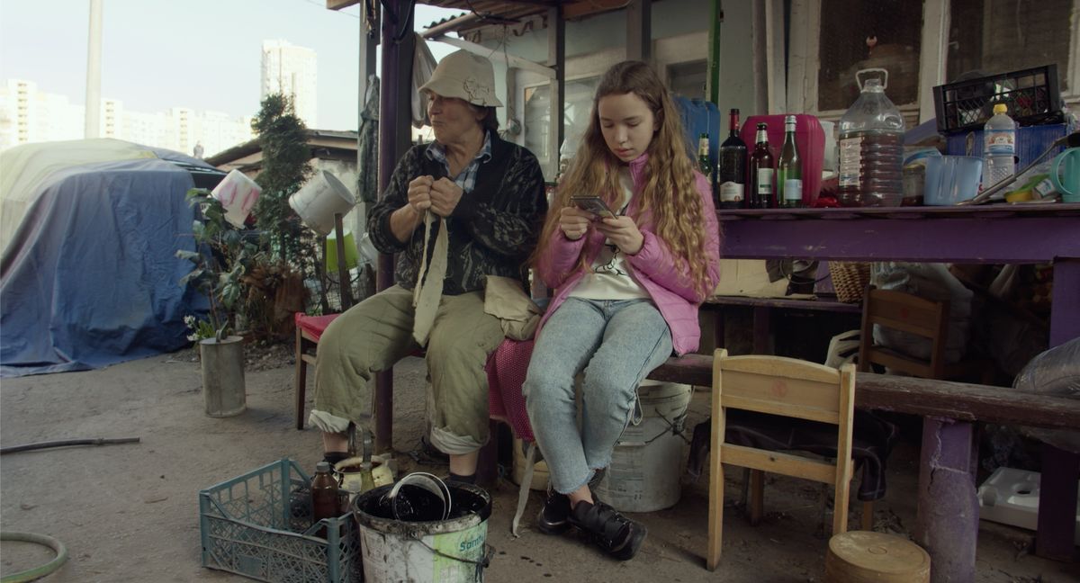 Квіти України